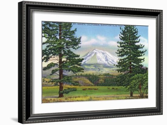 Mount Shasta, California - View of the Mountain from a Meadow, c.1940-Lantern Press-Framed Art Print