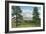 Mount Shasta, California - View of the Mountain from a Meadow, c.1940-Lantern Press-Framed Art Print