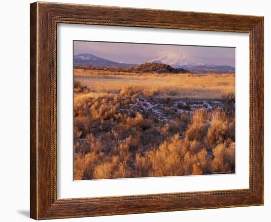 Mount Shasta from Tule Lakes, Kalamath Falls National Wildlife Reserve, Oregon, USA-William Sutton-Framed Photographic Print