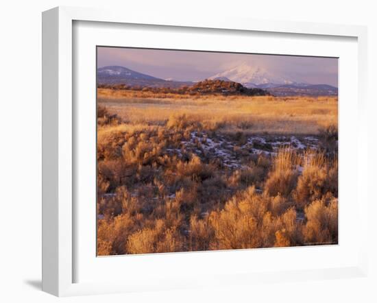 Mount Shasta from Tule Lakes, Kalamath Falls National Wildlife Reserve, Oregon, USA-William Sutton-Framed Photographic Print