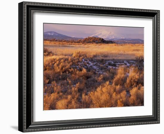 Mount Shasta from Tule Lakes, Kalamath Falls National Wildlife Reserve, Oregon, USA-William Sutton-Framed Photographic Print