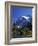 Mount Shuksan and Picture Lake, Heather Meadows, Washington, USA-Jamie & Judy Wild-Framed Photographic Print