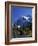 Mount Shuksan and Picture Lake, Heather Meadows, Washington, USA-Jamie & Judy Wild-Framed Photographic Print