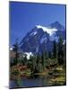 Mount Shuksan and Picture Lake, Heather Meadows, Washington, USA-Jamie & Judy Wild-Mounted Photographic Print