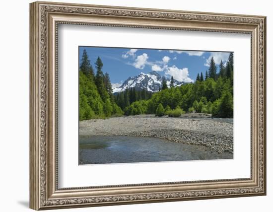 Mount Shuksan from the Nooksack River, North Cascades, Washington State.-Alan Majchrowicz-Framed Photographic Print