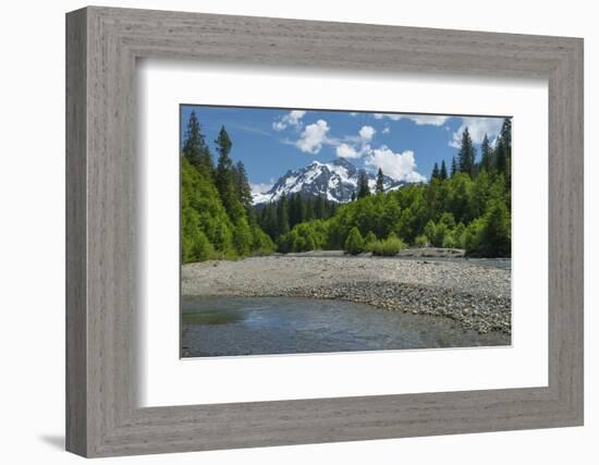 Mount Shuksan from the Nooksack River, North Cascades, Washington State.-Alan Majchrowicz-Framed Photographic Print