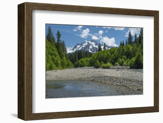 Mount Shuksan from the Nooksack River, North Cascades, Washington State.-Alan Majchrowicz-Framed Photographic Print