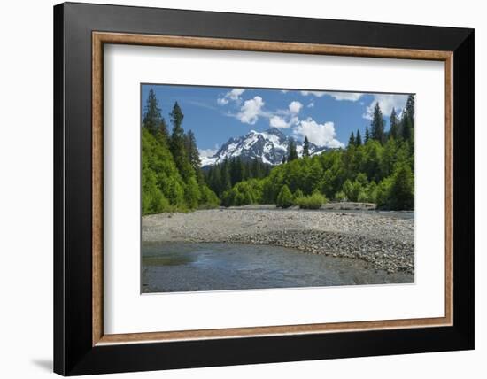 Mount Shuksan from the Nooksack River, North Cascades, Washington State.-Alan Majchrowicz-Framed Photographic Print