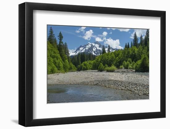 Mount Shuksan from the Nooksack River, North Cascades, Washington State.-Alan Majchrowicz-Framed Photographic Print