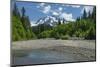 Mount Shuksan from the Nooksack River, North Cascades, Washington State.-Alan Majchrowicz-Mounted Photographic Print