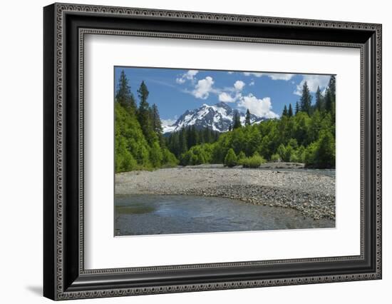 Mount Shuksan from the Nooksack River, North Cascades, Washington State.-Alan Majchrowicz-Framed Photographic Print