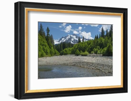 Mount Shuksan from the Nooksack River, North Cascades, Washington State.-Alan Majchrowicz-Framed Photographic Print