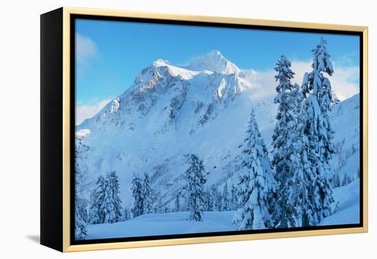 Mount Shuksan in winter North Cascades, Washington State-Alan Majchrowicz-Framed Premier Image Canvas