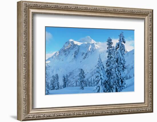 Mount Shuksan in winter North Cascades, Washington State-Alan Majchrowicz-Framed Photographic Print