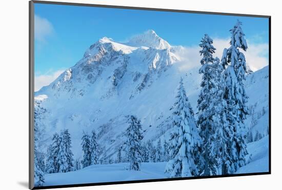 Mount Shuksan in winter North Cascades, Washington State-Alan Majchrowicz-Mounted Photographic Print