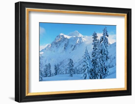 Mount Shuksan in winter North Cascades, Washington State-Alan Majchrowicz-Framed Photographic Print