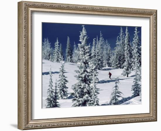 Mount Spokane State Park, Washington, USA-null-Framed Photographic Print