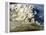 Mount St. Helen's Erupts-null-Framed Premier Image Canvas