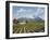 Mount St Helena-Eduardo Camoes-Framed Giclee Print