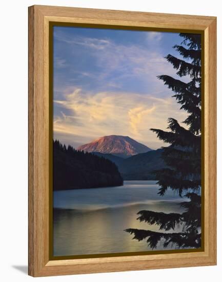 Mount St. Helens (After)-Steve Terrill-Framed Premier Image Canvas