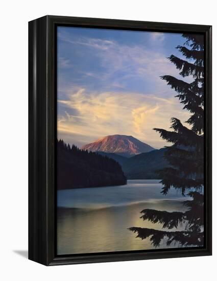 Mount St. Helens (After)-Steve Terrill-Framed Premier Image Canvas