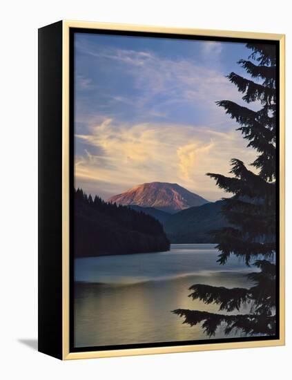 Mount St. Helens (After)-Steve Terrill-Framed Premier Image Canvas