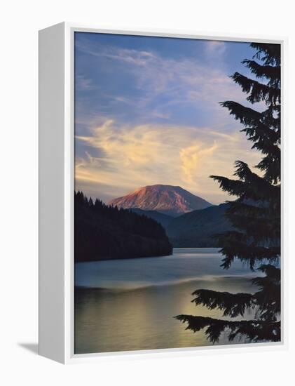 Mount St. Helens (After)-Steve Terrill-Framed Premier Image Canvas