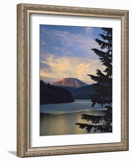 Mount St. Helens (After)-Steve Terrill-Framed Photographic Print