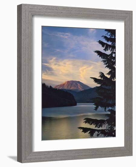 Mount St. Helens (After)-Steve Terrill-Framed Photographic Print