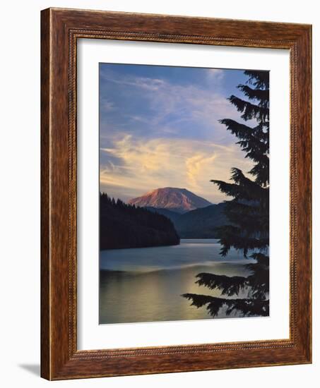 Mount St. Helens (After)-Steve Terrill-Framed Photographic Print