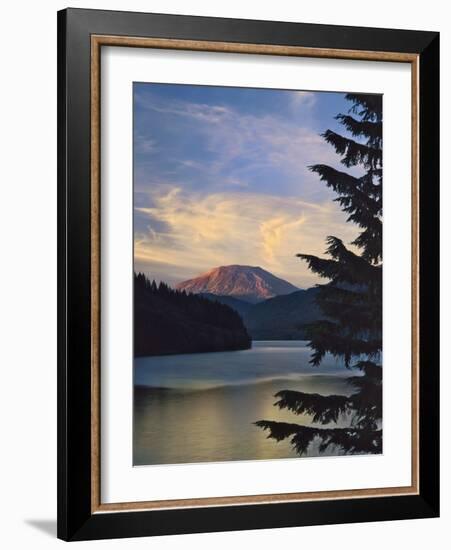 Mount St. Helens (After)-Steve Terrill-Framed Photographic Print