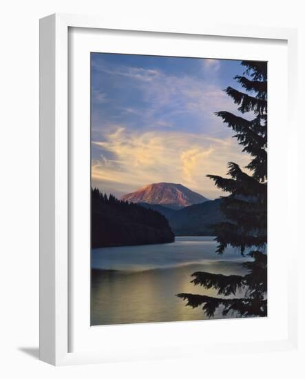 Mount St. Helens (After)-Steve Terrill-Framed Photographic Print