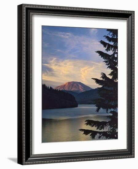 Mount St. Helens (After)-Steve Terrill-Framed Photographic Print