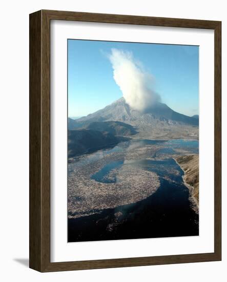 Mount St. Helens at Mount St. Helens National Monument-null-Framed Photographic Print