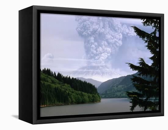 Mount St. Helens Erupting-Steve Terrill-Framed Premier Image Canvas