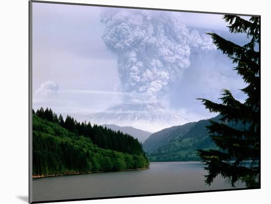 Mount St. Helens Erupting-Steve Terrill-Mounted Photographic Print