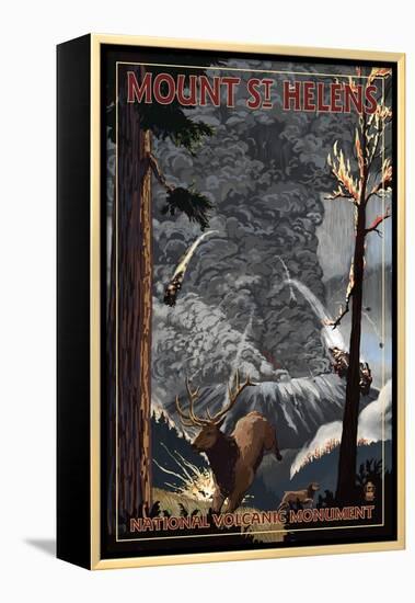 Mount St. Helens - Eruption Scene with Elk-Lantern Press-Framed Stretched Canvas