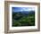 Mount St. Helens National Volcanic Monument, Washington, USA-Charles Gurche-Framed Photographic Print