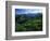 Mount St. Helens National Volcanic Monument, Washington, USA-Charles Gurche-Framed Photographic Print