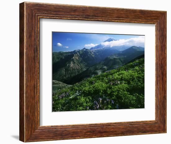 Mount St. Helens National Volcanic Monument, Washington, USA-Charles Gurche-Framed Photographic Print