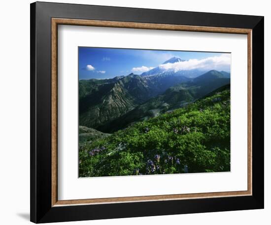 Mount St. Helens National Volcanic Monument, Washington, USA-Charles Gurche-Framed Photographic Print