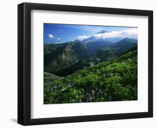 Mount St. Helens National Volcanic Monument, Washington, USA-Charles Gurche-Framed Photographic Print