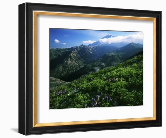 Mount St. Helens National Volcanic Monument, Washington, USA-Charles Gurche-Framed Photographic Print