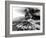 Mount St. Helens on the First Day of Eruption on May 18 1980-null-Framed Photo