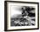 Mount St. Helens on the First Day of Eruption on May 18 1980-null-Framed Photo