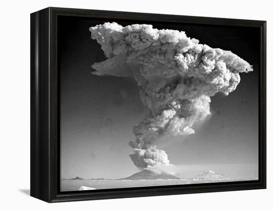 Mount St. Helens Roars to Life-null-Framed Premier Image Canvas