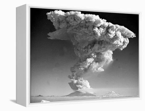 Mount St. Helens Roars to Life-null-Framed Premier Image Canvas