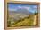 Mount St. Helens with wild flowers, Mount St. Helens National Volcanic Monument, Washington State, -Richard Maschmeyer-Framed Premier Image Canvas