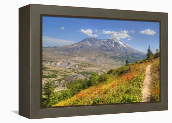 Mount St. Helens with wild flowers, Mount St. Helens National Volcanic Monument, Washington State, -Richard Maschmeyer-Framed Premier Image Canvas