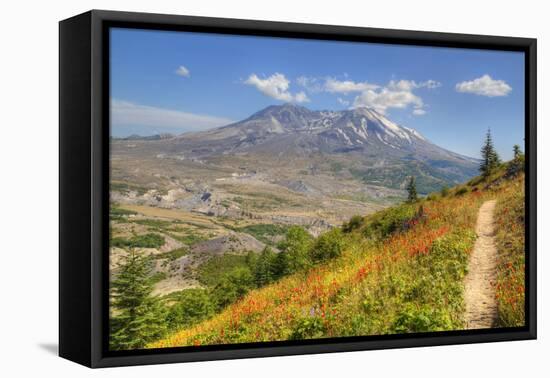 Mount St. Helens with wild flowers, Mount St. Helens National Volcanic Monument, Washington State, -Richard Maschmeyer-Framed Premier Image Canvas